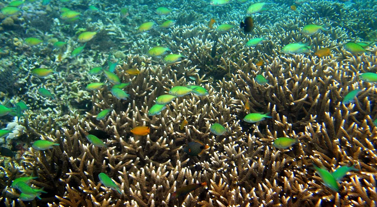 Anilao, Mabini