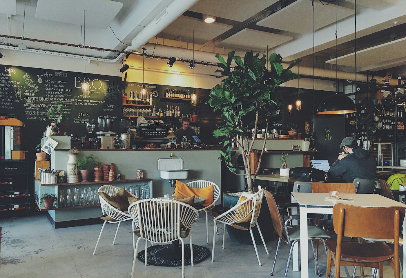 Sample photo: a warm, plant-filled cafe interior with wooden tables