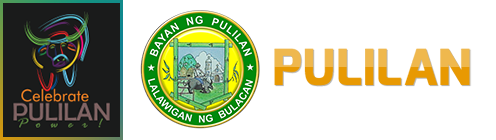 Pulilan Tourism logo